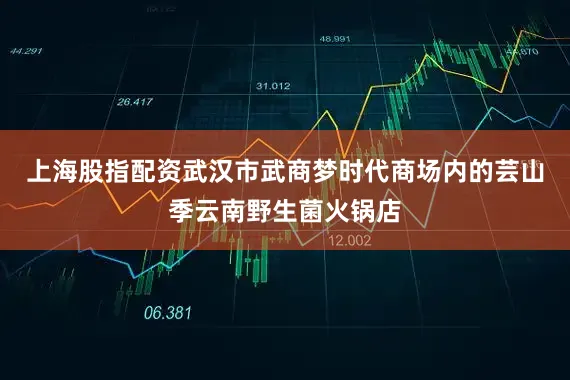 上海股指配资武汉市武商梦时代商场内的芸山季云南野生菌火锅店