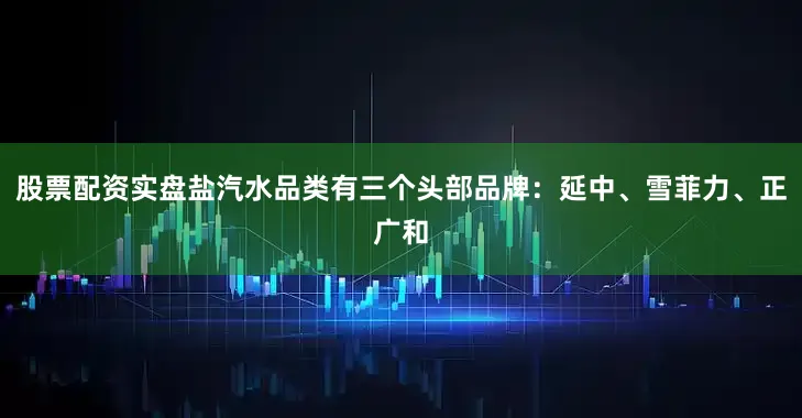 股票配资实盘盐汽水品类有三个头部品牌：延中、雪菲力、正广和