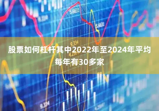 股票如何杠杆其中2022年至2024年平均每年有30多家